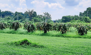 4-Hectare Beautiful Tuscan Resort Farm and Vacation Home with Swimming Pool For Sale in Tanauan, Batangas