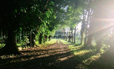 4-Hectare Beautiful Tuscan Resort Farm and Vacation Home with Swimming Pool For Sale in Tanauan, Batangas