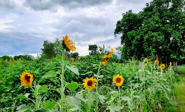 4-Hectare Beautiful Tuscan Resort Farm and Vacation Home with Swimming Pool For Sale in Tanauan, Batangas