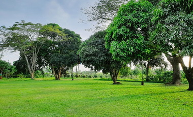 4-Hectare Beautiful Tuscan Resort Farm and Vacation Home with Swimming Pool For Sale in Tanauan, Batangas