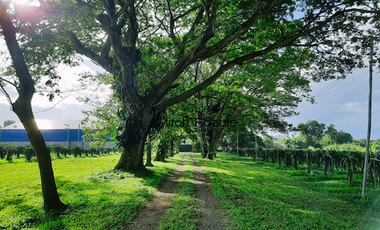 4-Hectare Beautiful Tuscan Resort Farm and Vacation Home with Swimming Pool For Sale in Tanauan, Batangas