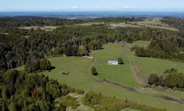 Campo con casa en venta en Fresia de 19,43 hectáreas - Región de Los Lagos
