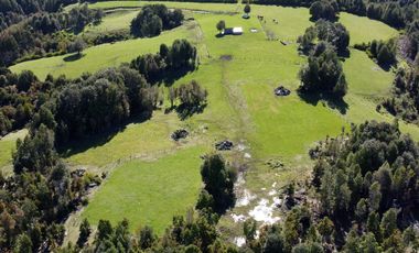 Campo con casa en venta en Fresia de 19,43 hectáreas - Región de Los Lagos