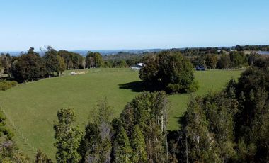 Campo con casa en venta en Fresia de 19,43 hectáreas - Región de Los Lagos