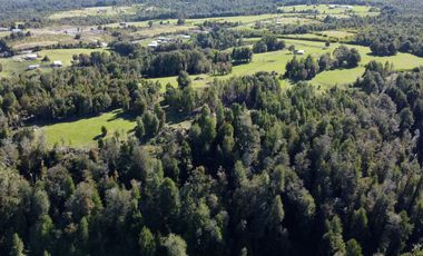 Campo con casa en venta en Fresia de 19,43 hectáreas - Región de Los Lagos
