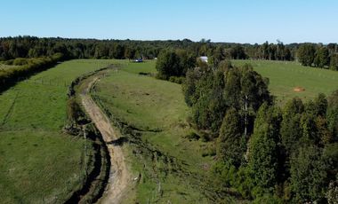 Campo con casa en venta en Fresia de 19,43 hectáreas - Región de Los Lagos