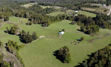 Campo con casa en venta en Fresia de 19,43 hectáreas - Región de Los Lagos