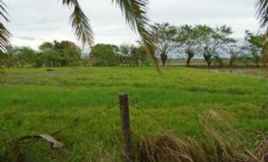 Vacant Lots @ Lot 58-G, Brgy. Polilio, Cabanatuan City, Nueva Ecija