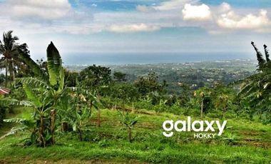 DIJUAL TANAH DESA KAYU PUTIH SUKASADA BULELENG, BALI