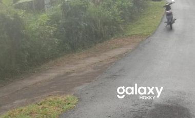 DIJUAL TANAH DESA KAYU PUTIH SUKASADA BULELENG, BALI