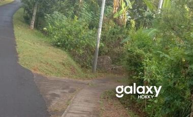 DIJUAL TANAH DESA KAYU PUTIH SUKASADA BULELENG, BALI