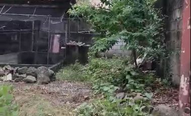 904 sqm Prime Location Residential Property for Sale in UP Professors Subdivision, Congressional Ave Extension, Culiat, Quezon City