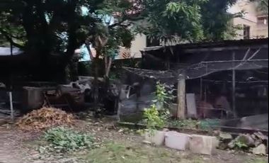 904 sqm Prime Location Residential Property for Sale in UP Professors Subdivision, Congressional Ave Extension, Culiat, Quezon City