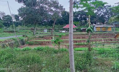 Tanah Datar Tepi Jl Raya Ngargoyoso-Kemuning