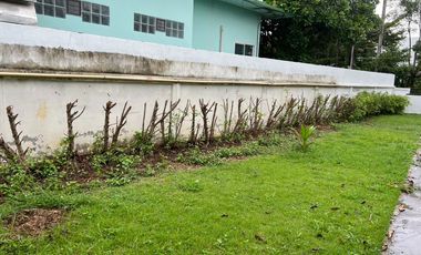 Nice 3 Bed House with Swimming Pool for Sale in a Nice Area, Chiang Mai