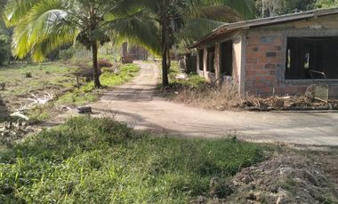 VENDO FINCA DE TRABAJO EN AMALFI ANTIOQUIA.