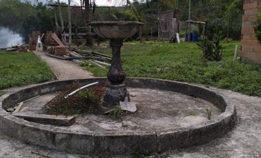 VENDO FINCA DE TRABAJO EN AMALFI ANTIOQUIA.