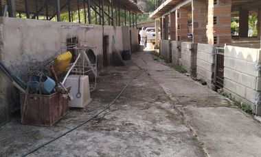 VENDO FINCA DE TRABAJO EN AMALFI ANTIOQUIA.