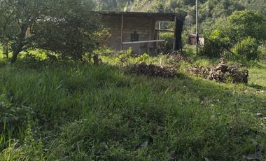VENDO FINCA DE TRABAJO EN AMALFI ANTIOQUIA.