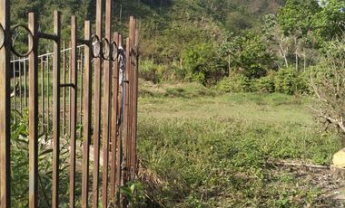 VENDO FINCA DE TRABAJO EN AMALFI ANTIOQUIA.