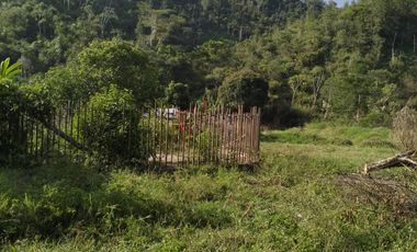 VENDO FINCA DE TRABAJO EN AMALFI ANTIOQUIA.
