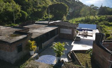 VENDO FINCA DE TRABAJO EN AMALFI ANTIOQUIA.