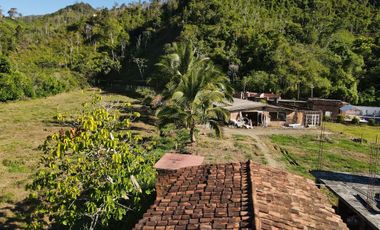 VENDO FINCA DE TRABAJO EN AMALFI ANTIOQUIA.