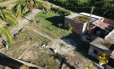 VENDO FINCA DE TRABAJO EN AMALFI ANTIOQUIA.