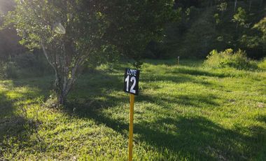 VENDO FINCA DE TRABAJO EN AMALFI ANTIOQUIA.