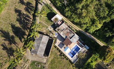 VENDO FINCA DE TRABAJO EN AMALFI ANTIOQUIA.