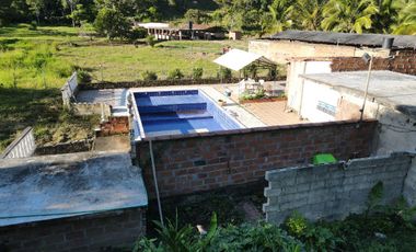 VENDO FINCA DE TRABAJO EN AMALFI ANTIOQUIA.