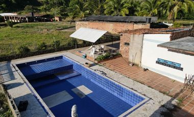 VENDO FINCA DE TRABAJO EN AMALFI ANTIOQUIA.