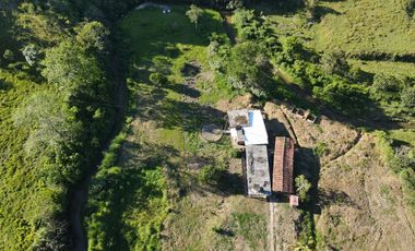 VENDO FINCA DE TRABAJO EN AMALFI ANTIOQUIA.