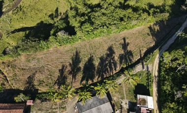 VENDO FINCA DE TRABAJO EN AMALFI ANTIOQUIA.