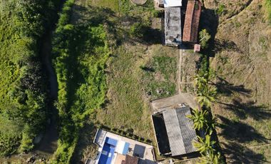 VENDO FINCA DE TRABAJO EN AMALFI ANTIOQUIA.