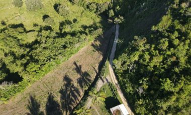 VENDO FINCA DE TRABAJO EN AMALFI ANTIOQUIA.