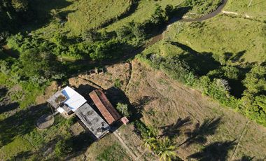 VENDO FINCA DE TRABAJO EN AMALFI ANTIOQUIA.