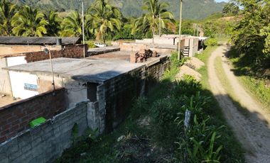 VENDO FINCA DE TRABAJO EN AMALFI ANTIOQUIA.