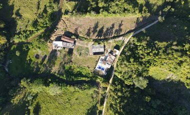 VENDO FINCA DE TRABAJO EN AMALFI ANTIOQUIA.
