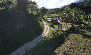 VENDO FINCA DE TRABAJO EN AMALFI ANTIOQUIA.