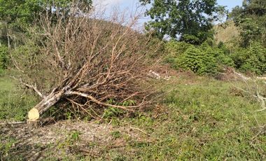 VENDO FINCA DE TRABAJO EN AMALFI ANTIOQUIA.