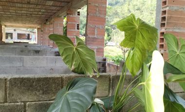 VENDO FINCA DE TRABAJO EN AMALFI ANTIOQUIA.
