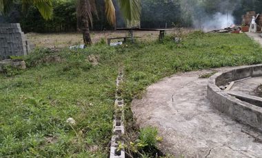 VENDO FINCA DE TRABAJO EN AMALFI ANTIOQUIA.