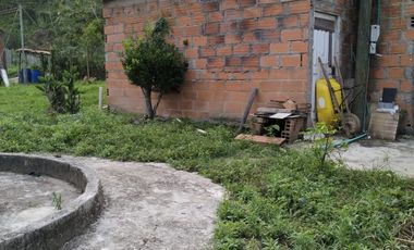 VENDO FINCA DE TRABAJO EN AMALFI ANTIOQUIA.