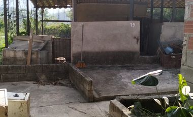 VENDO FINCA DE TRABAJO EN AMALFI ANTIOQUIA.