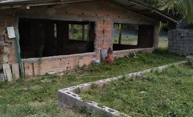 VENDO FINCA DE TRABAJO EN AMALFI ANTIOQUIA.