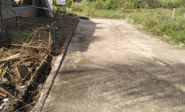 VENDO FINCA DE TRABAJO EN AMALFI ANTIOQUIA.