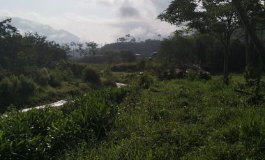 VENDO FINCA DE TRABAJO EN AMALFI ANTIOQUIA.