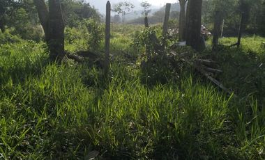 VENDO FINCA DE TRABAJO EN AMALFI ANTIOQUIA.