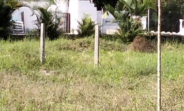 VENDO FINCA DE TRABAJO EN AMALFI ANTIOQUIA.